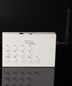 13-Key RF LED Remote Controller — GFC004