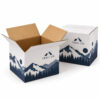 Custom Printed Shipping Boxes — original sample design