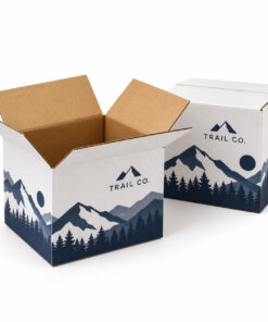 Custom Printed Shipping Boxes — original sample design