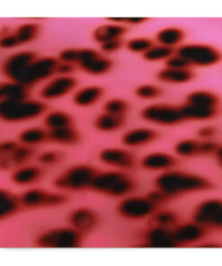 Ocelot Pink Acrylic Sheet
